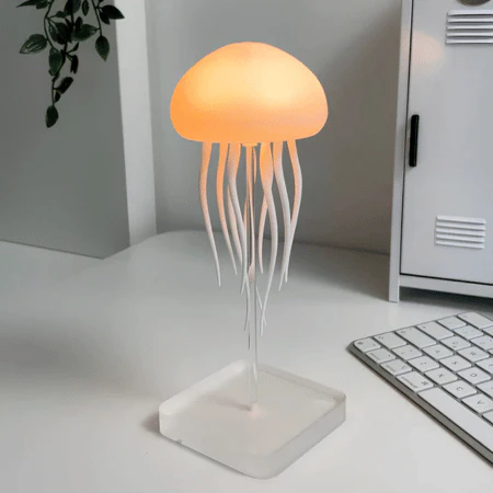 Miniatuur 1