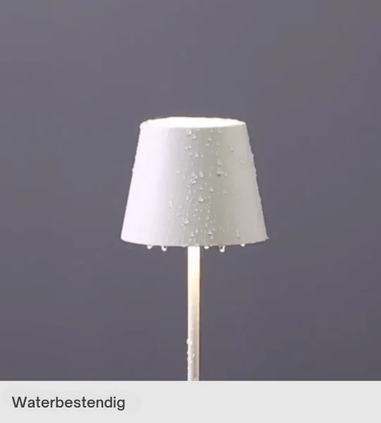 Productafbeelding 6